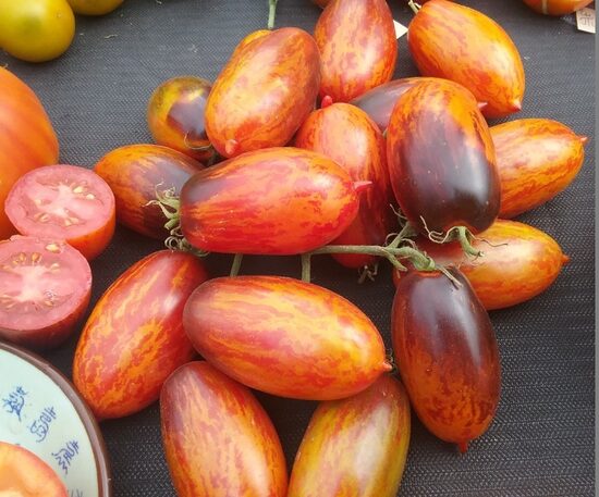 Гном Бой с Тенью